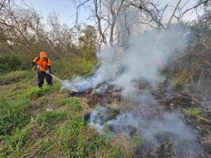 Defesa Civil de Itaquá registra queda de 80% nas ocorrências de queimadas
