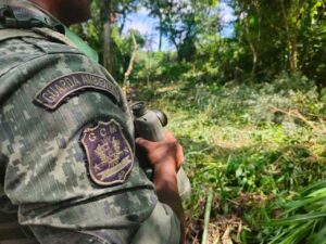 Guarda Ambiental de Itaquá registra 281 animais silvestres resgatados