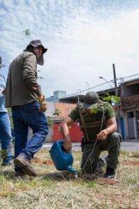 Itaquá promove Semana da Árvore
