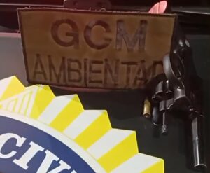 GCM Ambiental