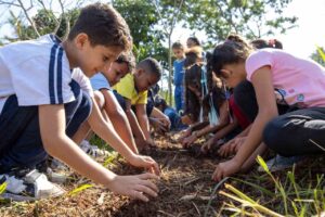 projeto Jardins Comestíveis